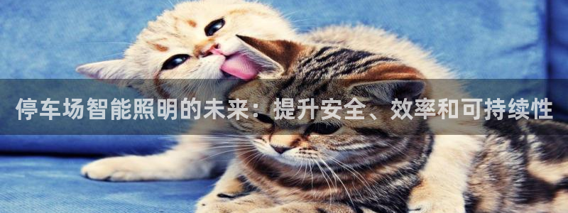 云顶国际商业广场怎么样