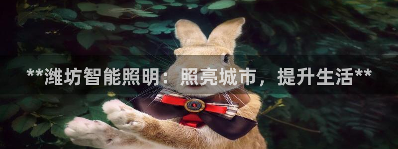 云顶国际城手机网址是多少