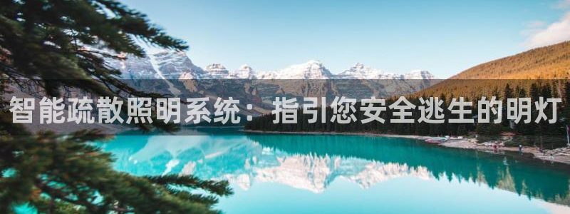 云顶集团有限公司招聘