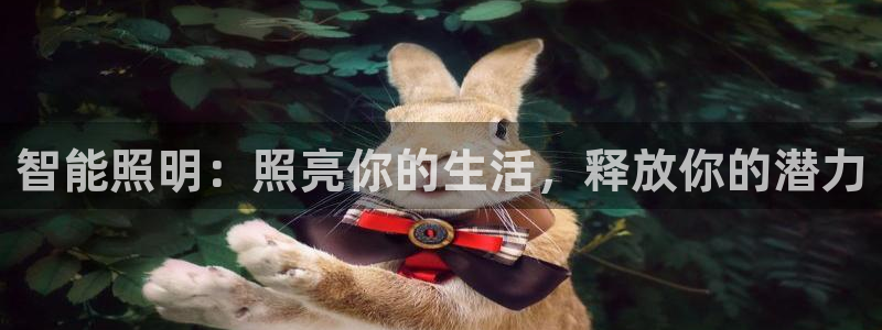 云顶国际--行业领导品牌