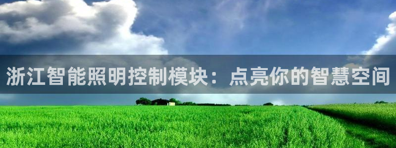 云顶国际物流官网网址