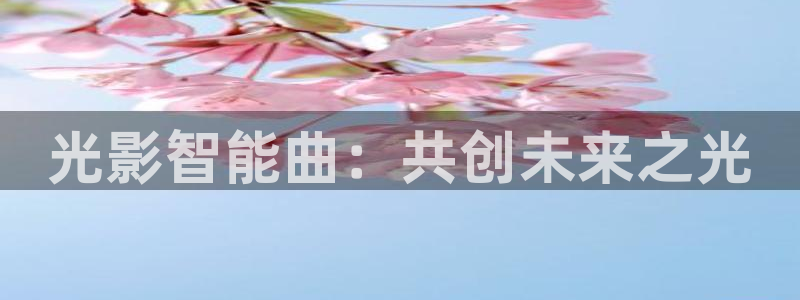 登录云顶集团的网站