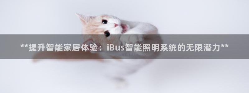 云顶国际平台是真的吗