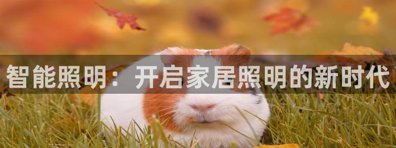 云顶国际老板是谁