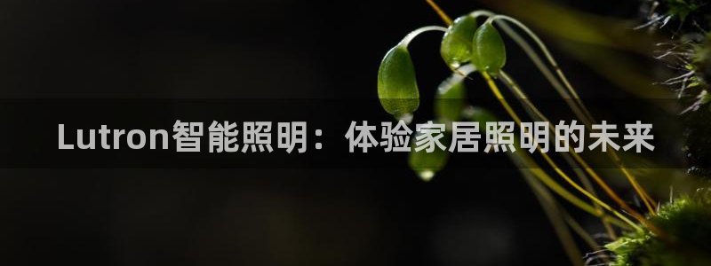 云顶国际官网下载手机版