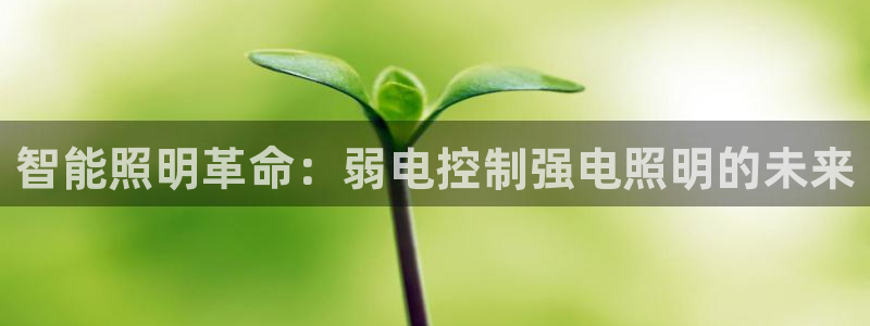云顶国际会所电话