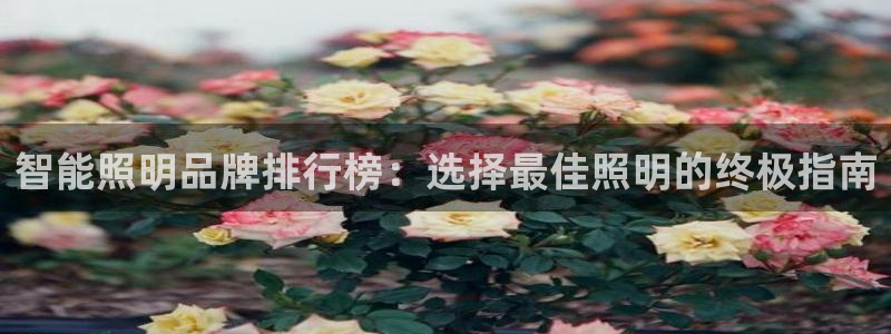 云顶国际唯一官网