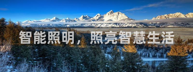云顶国际投资有限公司怎么样