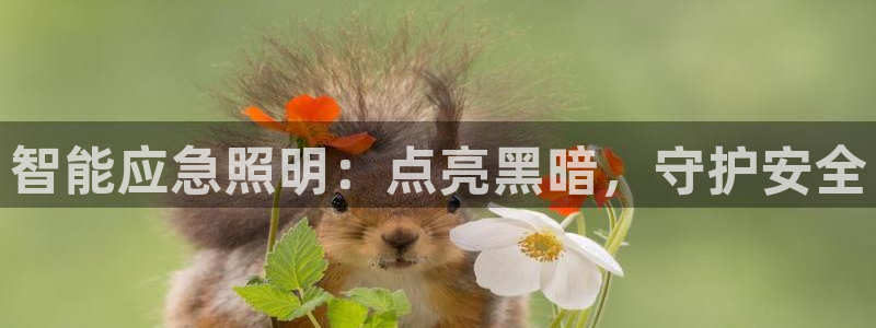 云顶集团是哪个国家的