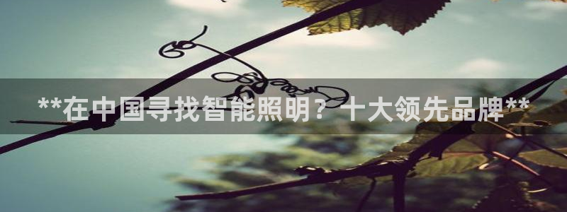 云顶国际公馆二手房出售