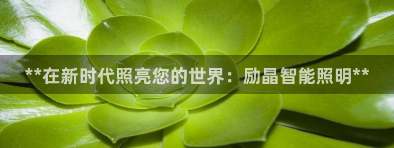 云顶集团官网登录入口