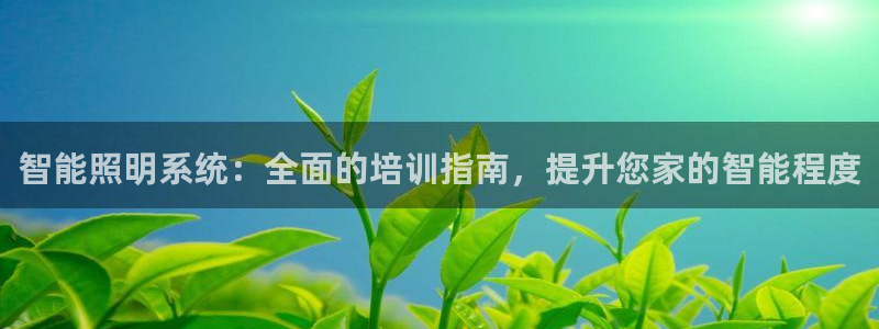 云顶国际提现失败怎么办