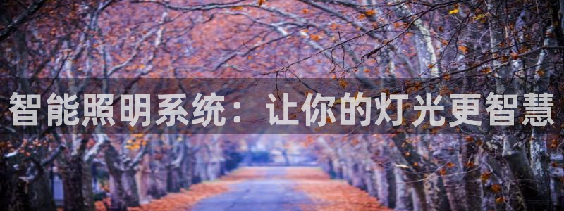 云顶国际大酒店是几星级
