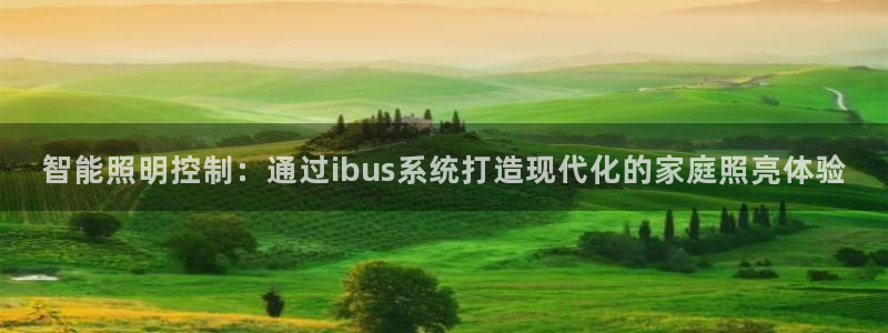 云顶国际软装公司怎么样