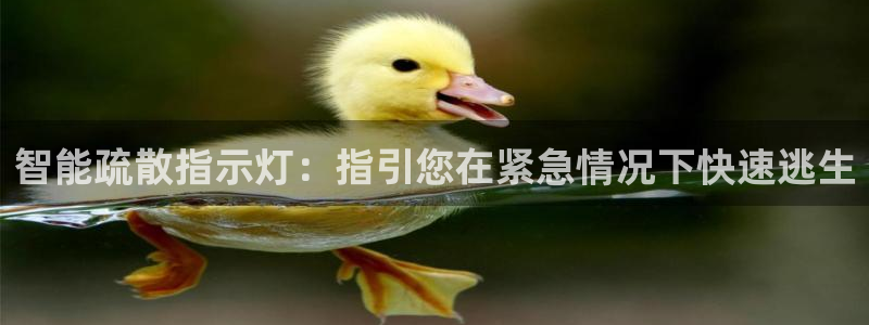 云顶国际cq9