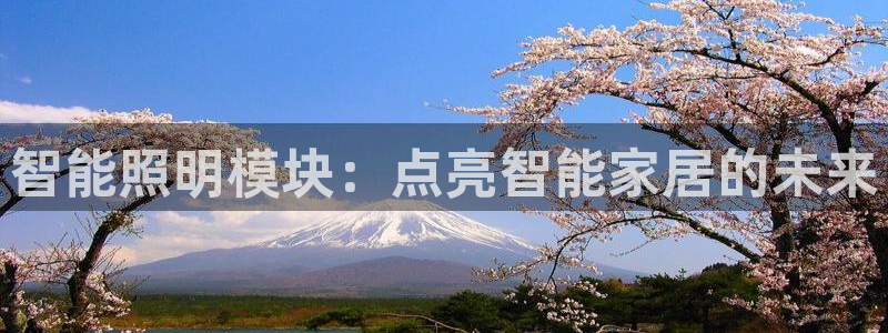 云顶国际商务会所
