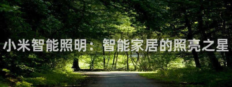 云顶国际平台违法吗?