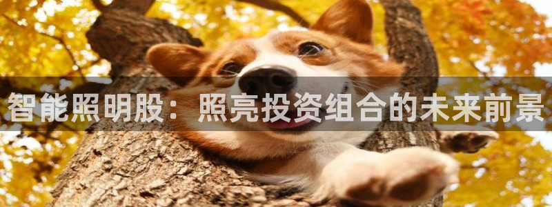 云顶国际高中