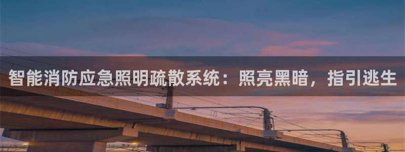 云顶国际物流官网网址