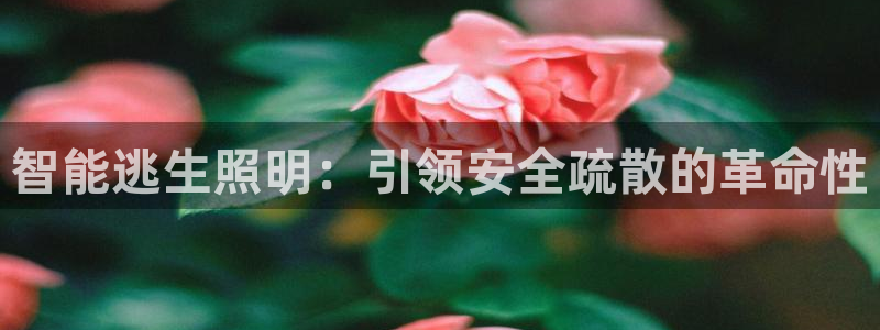 云顶国际宴会中心老板是谁