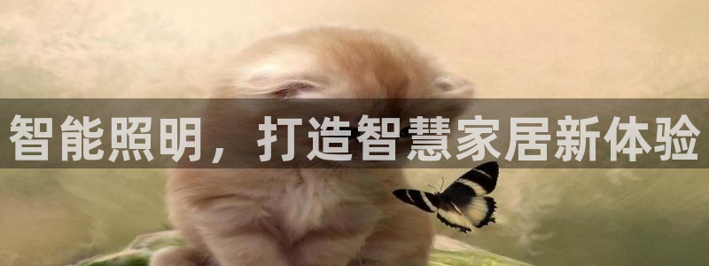 云顶国际大酒店有外卖吗