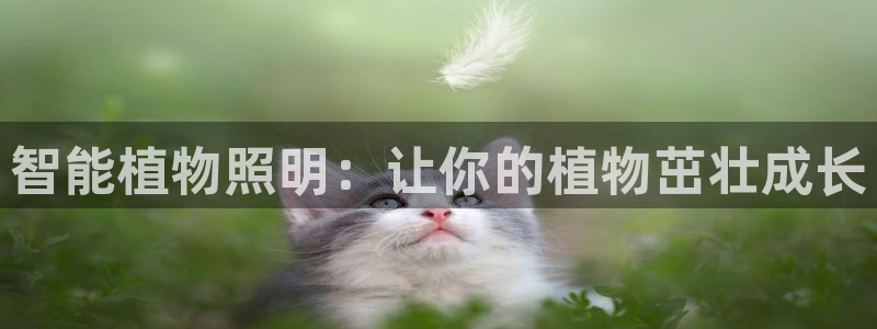 云顶国际大酒店电话