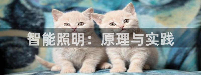 云顶国际网站进不去了