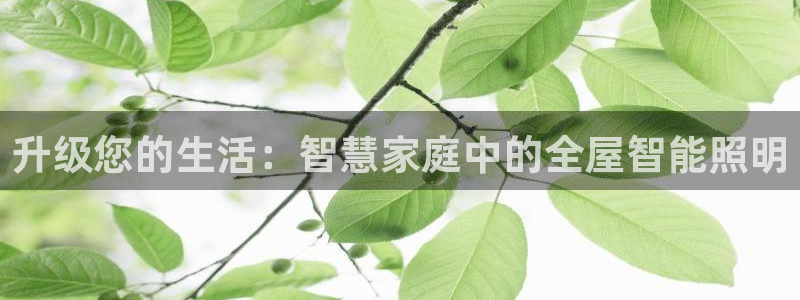 云顶集团公司简介