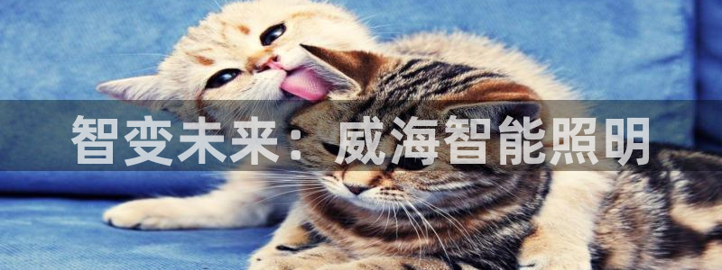 云顶集团董事长林东简历照片