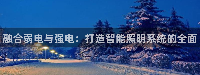 云顶国际老板是谁：融合弱电与强电：打造智