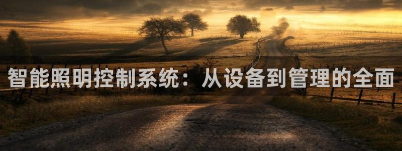 云顶国际旅行社