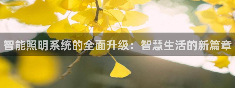 云顶国际集团游戏会不会黑钱：智能照明系统