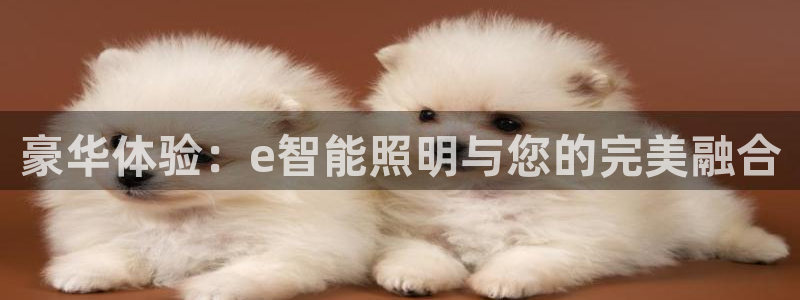 云顶国际商业广场a座101层