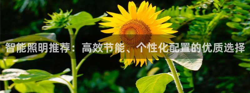 云顶国际4008服务平台