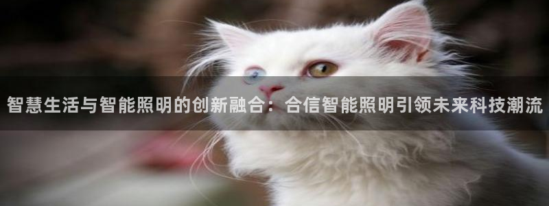 云顶国际25万没法提现