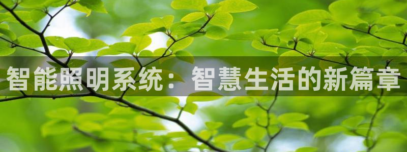 云顶国际服什么时候更新s8