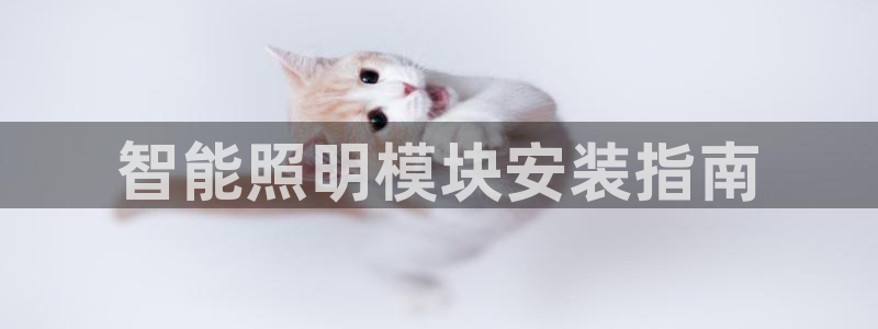 云顶国际公馆二手房