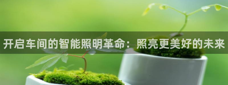 云顶国际服叫啥