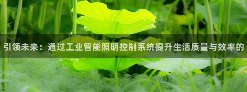 云顶国际(集团)开发实业有限公司